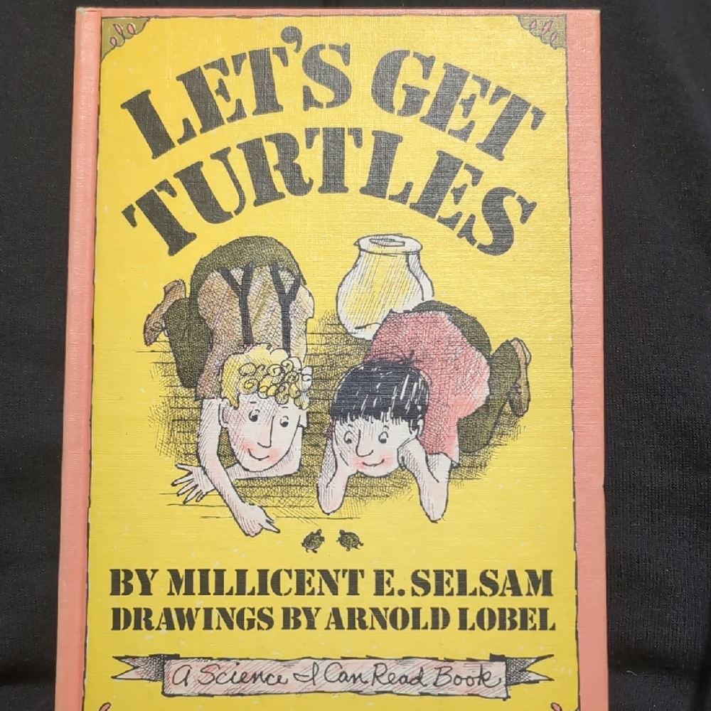 $1 Add To Any Bundle  Let's Get Turtles Book